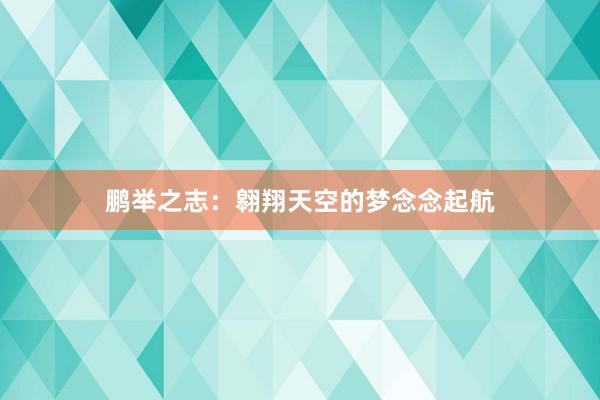 鹏举之志：翱翔天空的梦念念起航